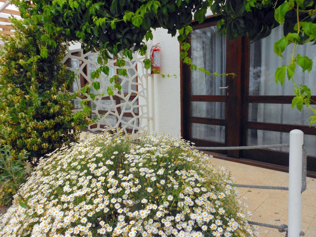 Aytas Hotel Ayvalı エクステリア 写真