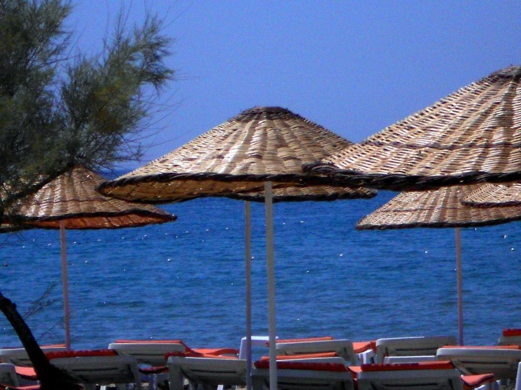 Aytas Hotel Ayvalı エクステリア 写真